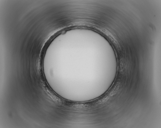 X0000112170880200908281337