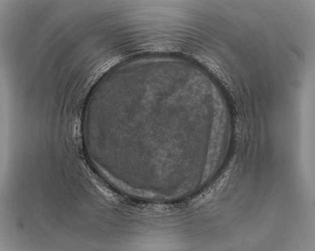 X0000112170881200908281337