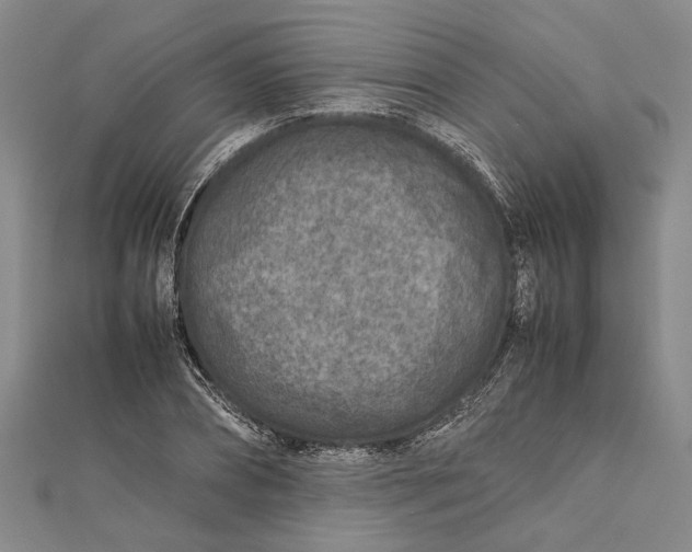 X0000112170882200908281337