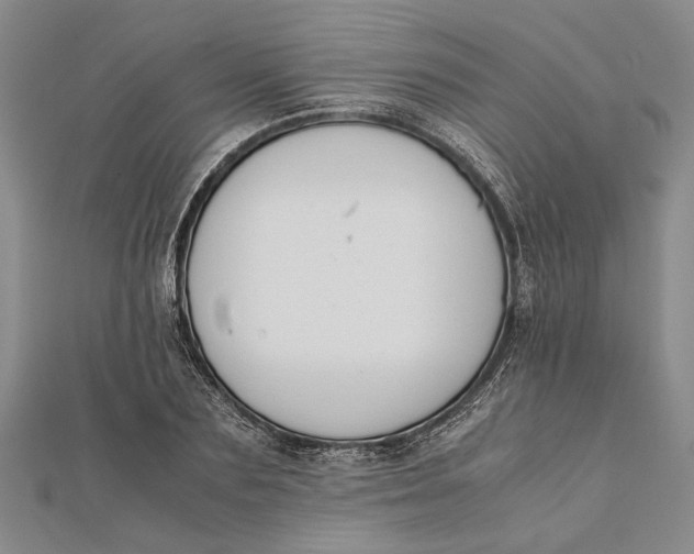 X0000112170883200908281337