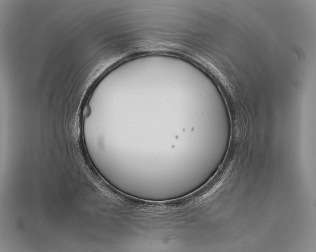 X0000112170885200908281337