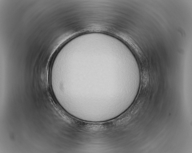 X0000112170886200908281337