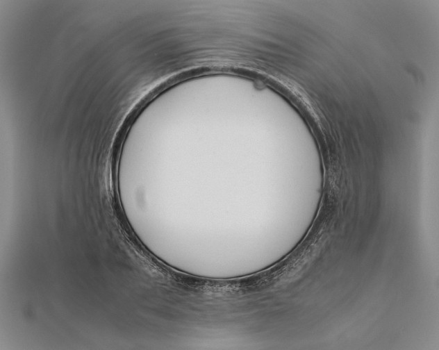 X0000112170887200908281337