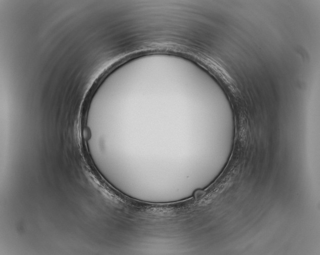 X0000112170888200908281337