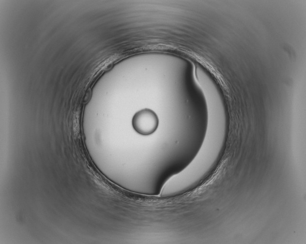 X0000112170889200908281337