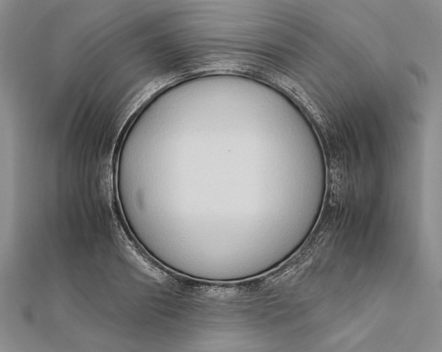 X0000112170890200908281337