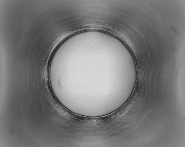 X0000112170891200908281337