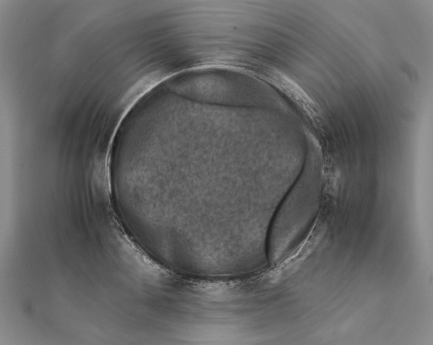 X0000112170892200908281337