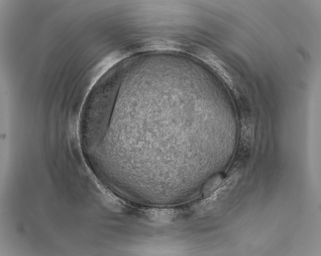 X0000112170893200908281337