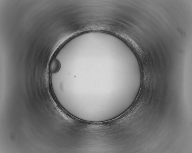 X0000112170894200908281337