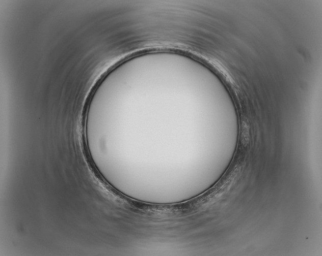 X0000112170895200908281337