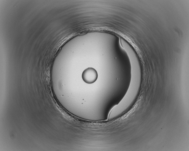 X0000112170897200908281337