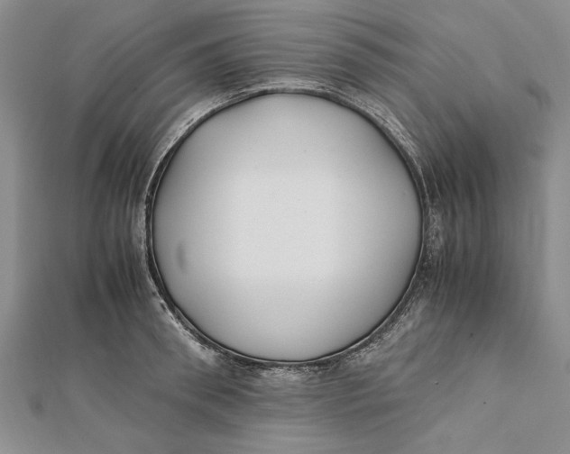 X0000112170898200908281337