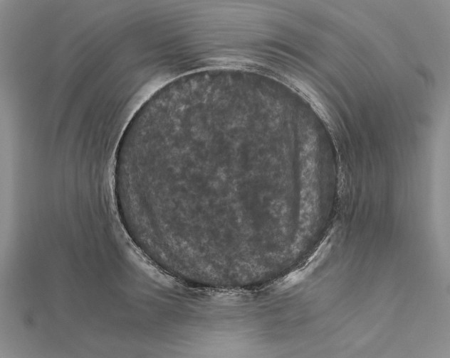 X0000112170899200908281337