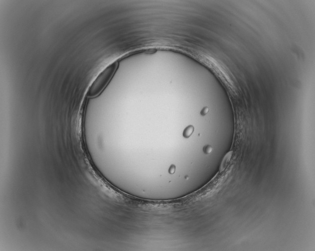 X0000112170900200908281337