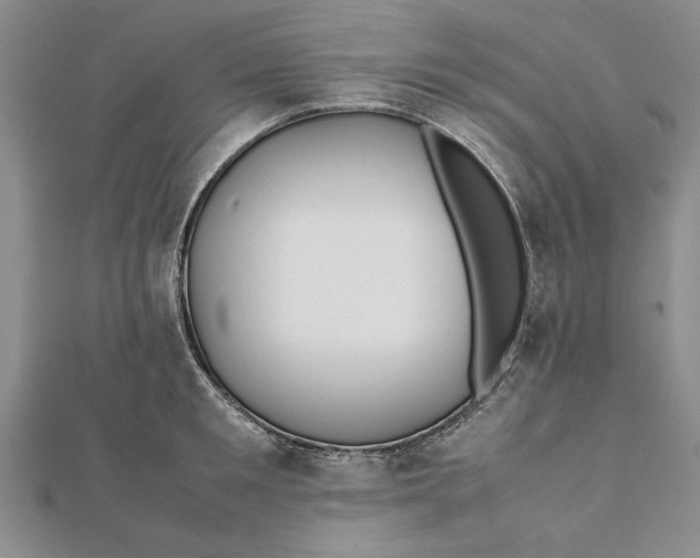 X0000112170901200908281337