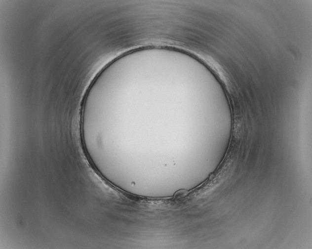 X0000112170903200908281337