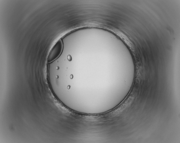 X0000112170904200908281337