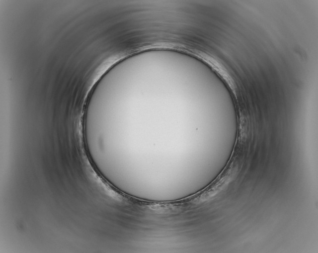 X0000112170906200908281337