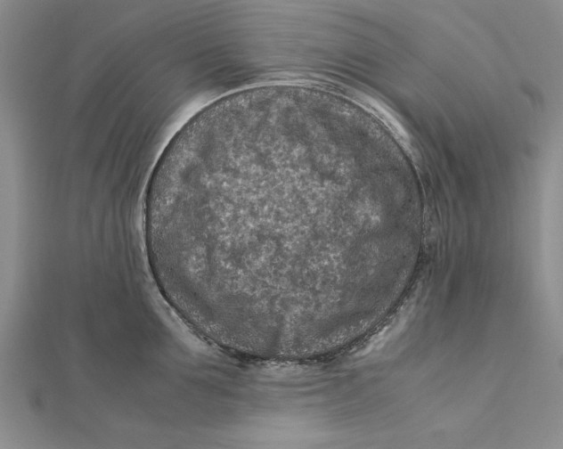 X0000112170907200908281337