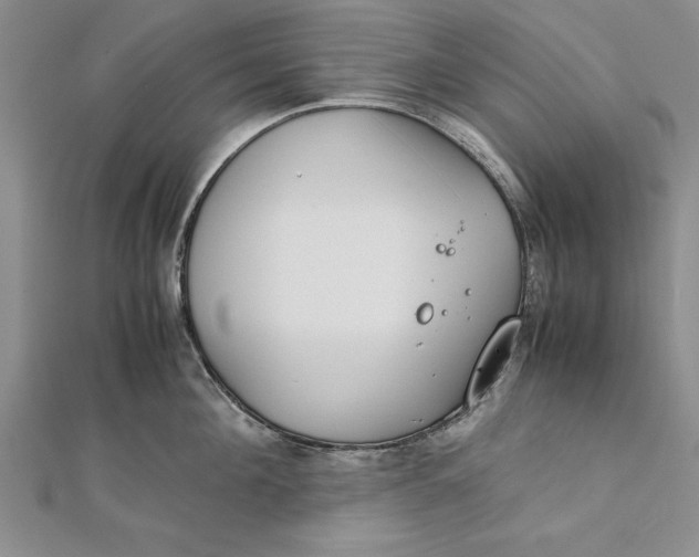 X0000112170908200908281337