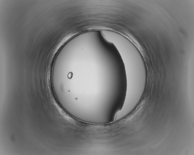 X0000112170909200908281337