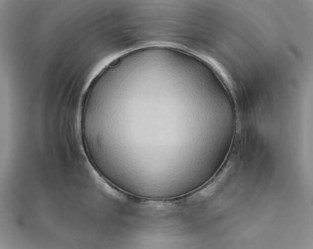 X0000112170910200908281337