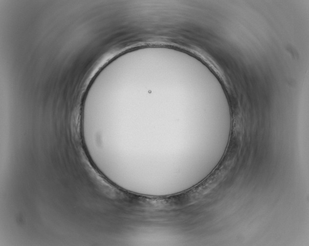 X0000112170911200908281337