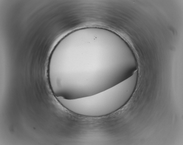 X0000112170912200908281337