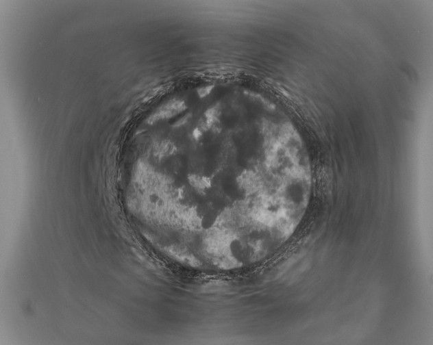 X0000112170913200908281336