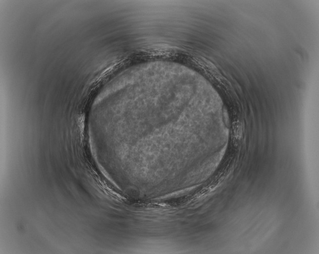 X0000112170916200908281336