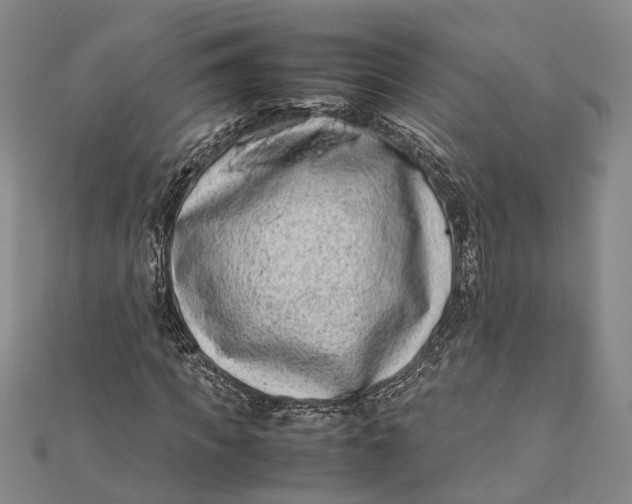 X0000112170917200908281336