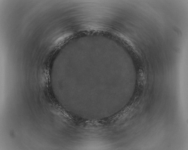 X0000112170918200908281336