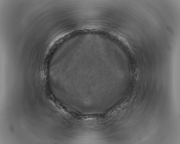 X0000112170920200908281336