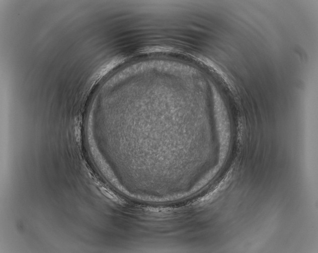 X0000112170921200908281336