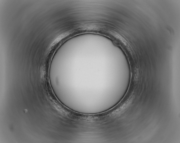 X0000112170922200908281336