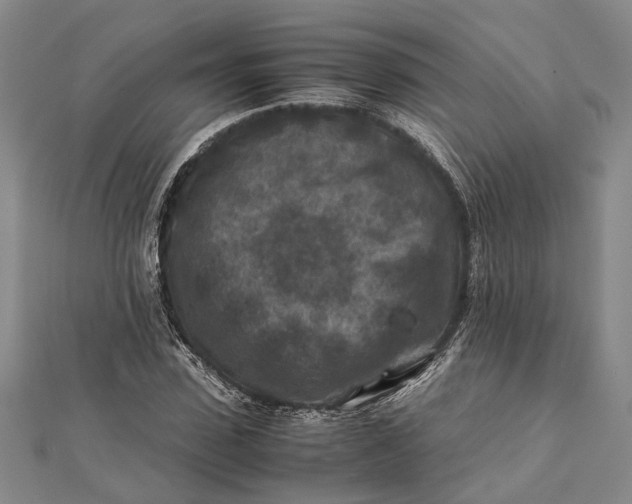 X0000112170923200908281336