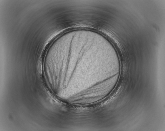 X0000112170925200908281336