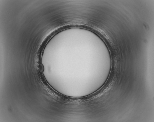 X0000112170926200908281336