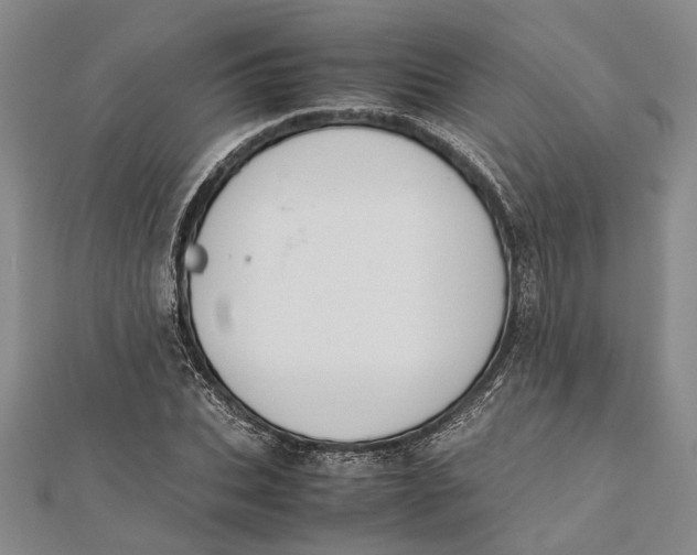 X0000112170927200908281336