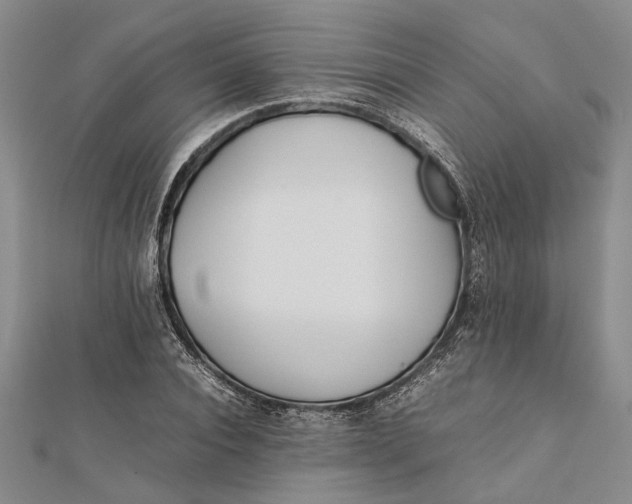 X0000112170928200908281336