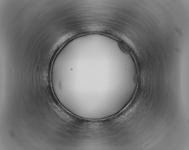 X0000112170930200908281336