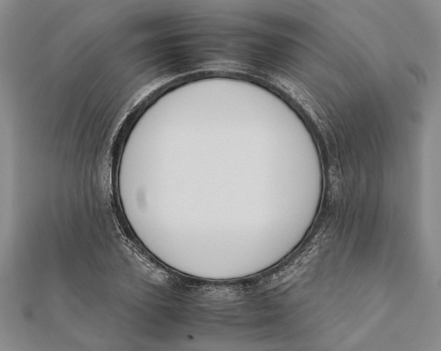 X0000112170931200908281336