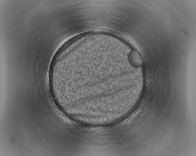 X0000112170932200908281336