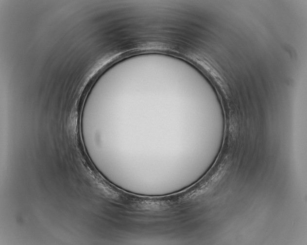 X0000112170933200908281336