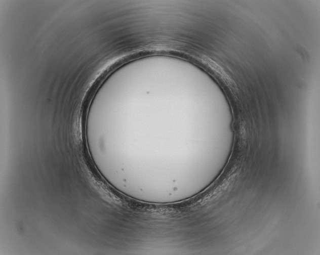 X0000112170934200908281336