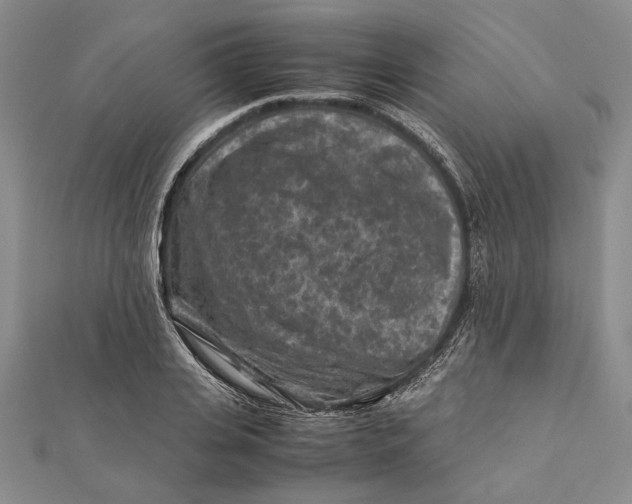 X0000112170935200908281336