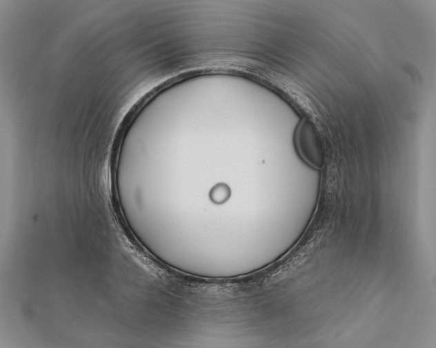 X0000112170936200908281336