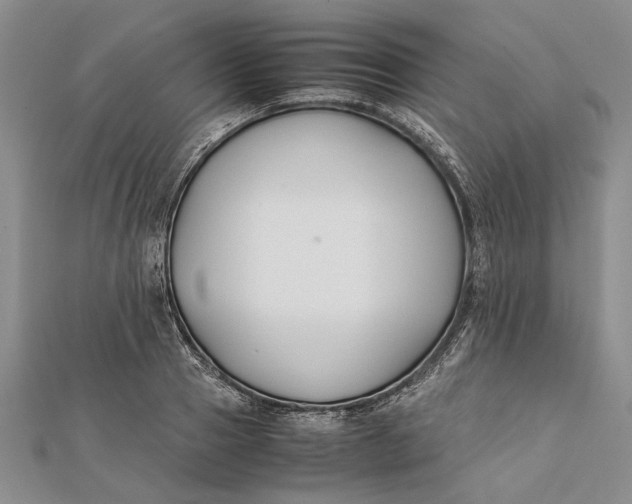 X0000112170937200908281336