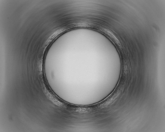 X0000112170938200908281336